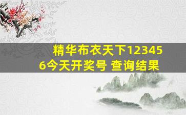 精华布衣天下123456今天开奖号 查询结果